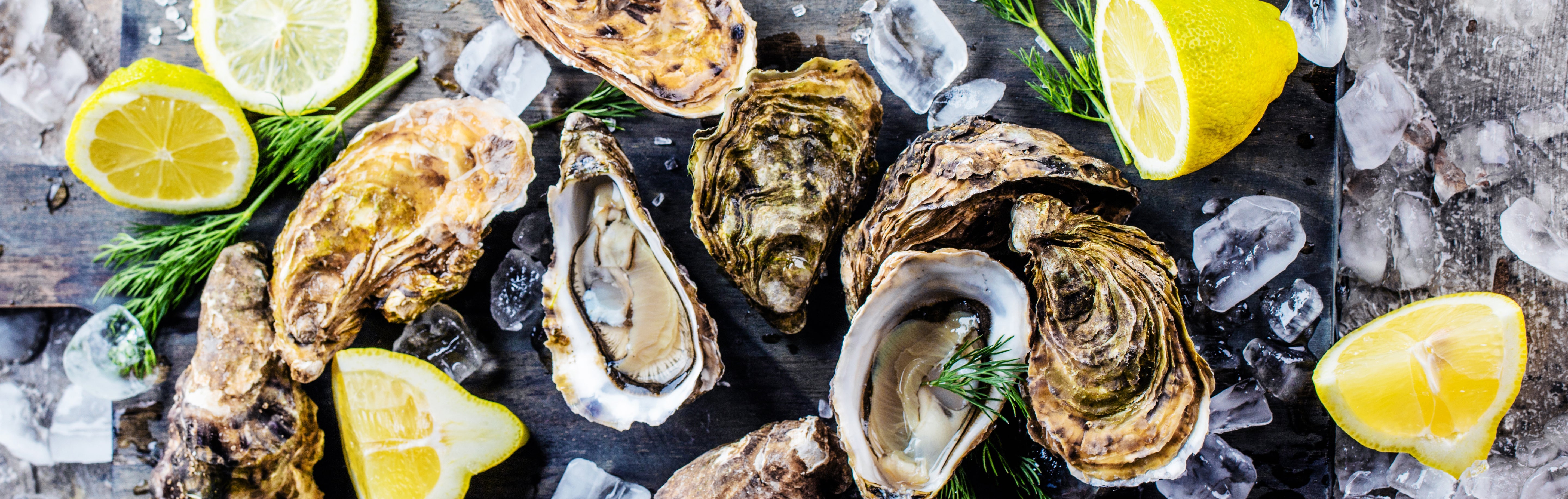 Oysters and lemon on a bed of ice, with an oyster shucking knife and two glasses of white wine.