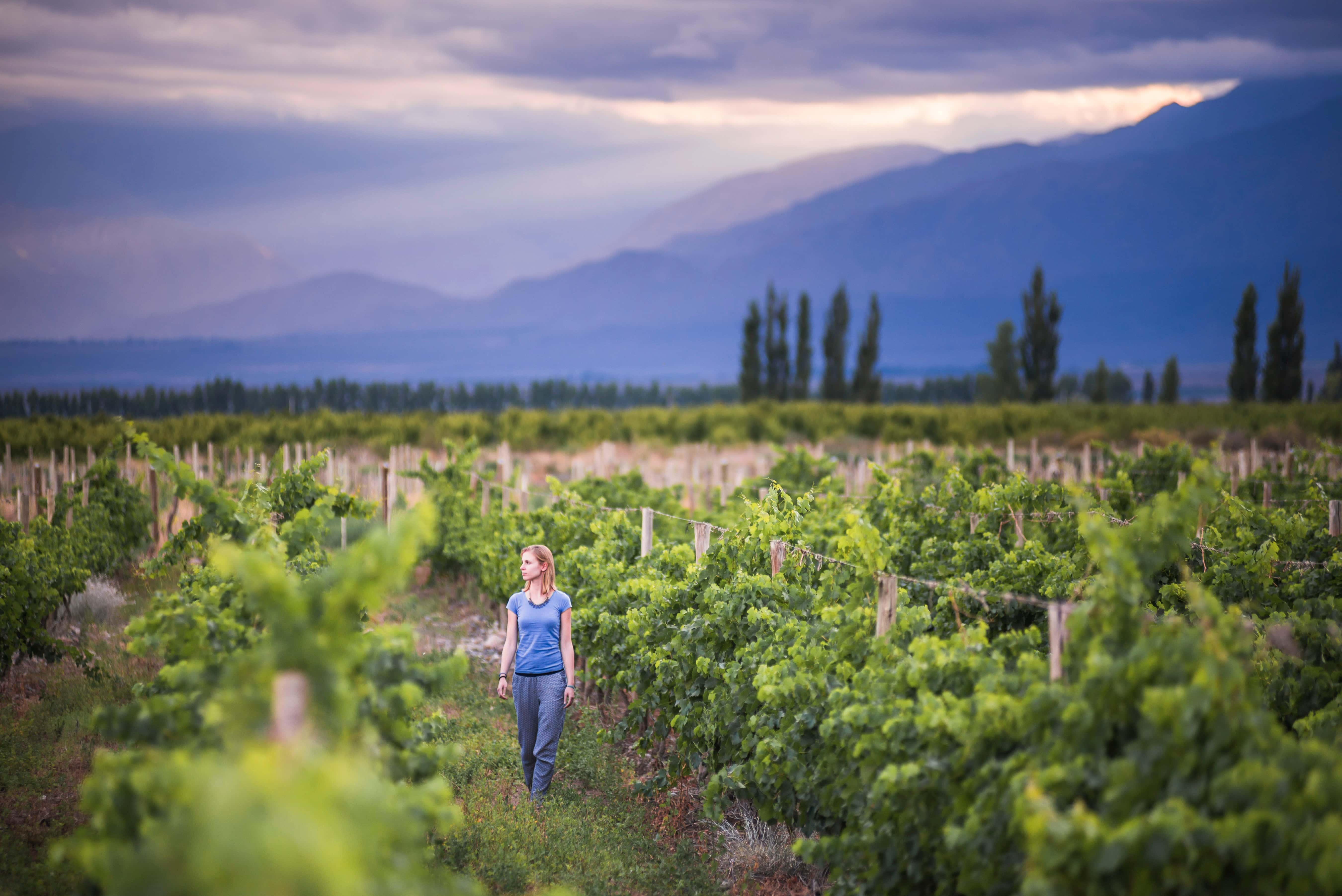 Wine-a-get away? Here are the top 5 Wineries to Escape to this Winter