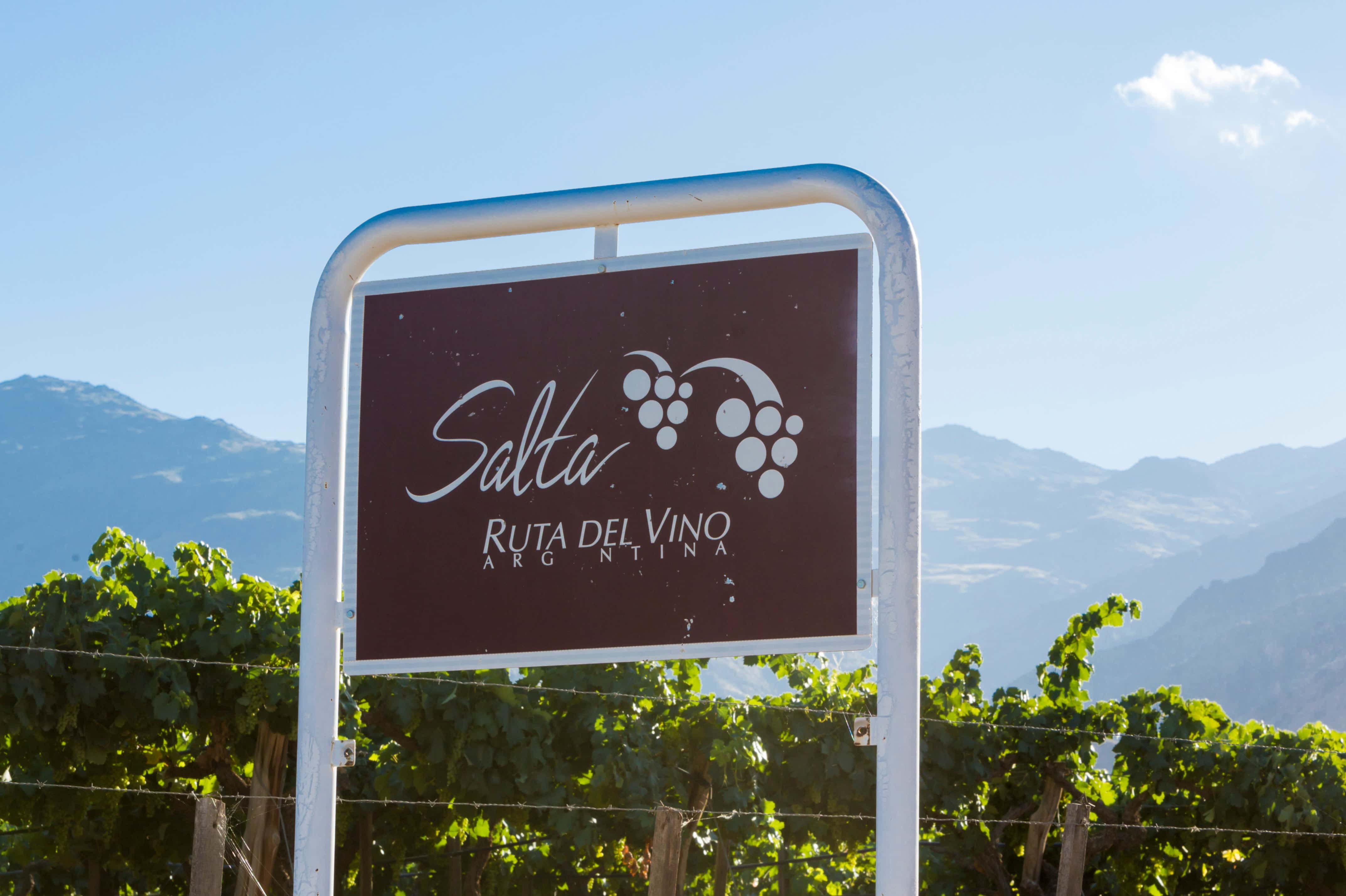 Road Tripping and Wine Tasting through Salta Wine Country